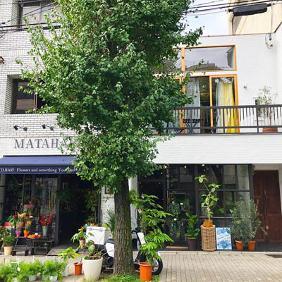 Matahari Annex Stay ホテル 旅館を探すなら Bingan 京都府京都市左京区のホテル