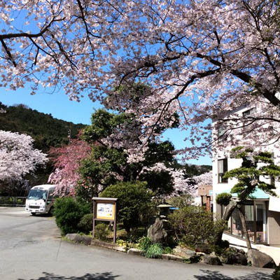 桜とホタルの里 裾野炭酸カルシウム温浴 一の瀬 ホテル 旅館を探すなら Bingan 静岡県裾野市の旅館